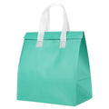 Insulated Take Away Bags, 35 Pcs Thermal Bags 9.4 x 5.9 x 10.2 Inch Mint Green