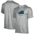 Men's Gray Holy Family Tigers Volleyball Name Drop T-Shirt