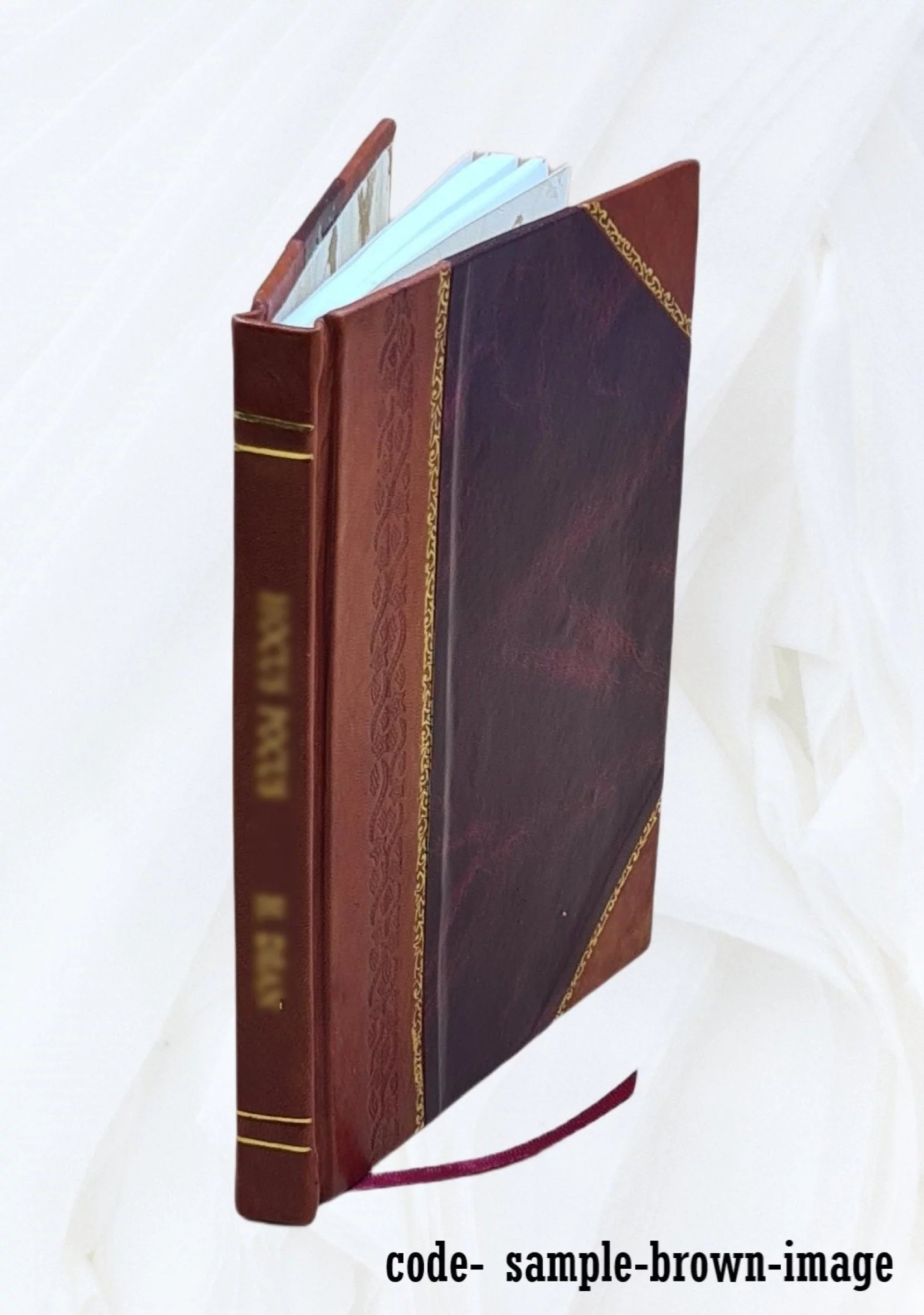 L'opera pittorica di Walther Armando Basso 1900 [Leather Bound]