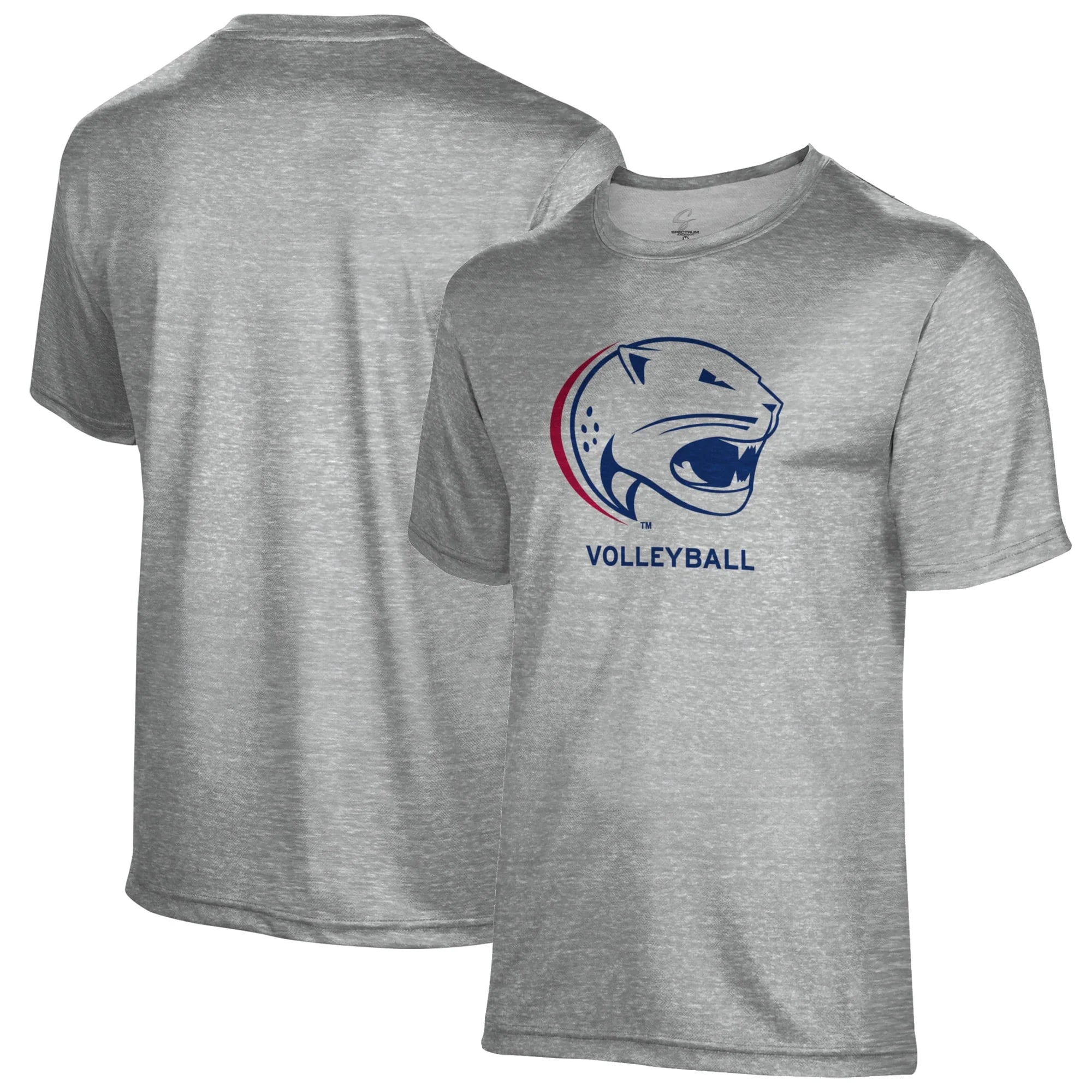 Men's Gray South Alabama Jaguars Volleyball Name Drop T-Shirt