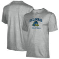 Men's Gray Delaware Fightin' Blue Hens Volleyball Name Drop T-Shirt