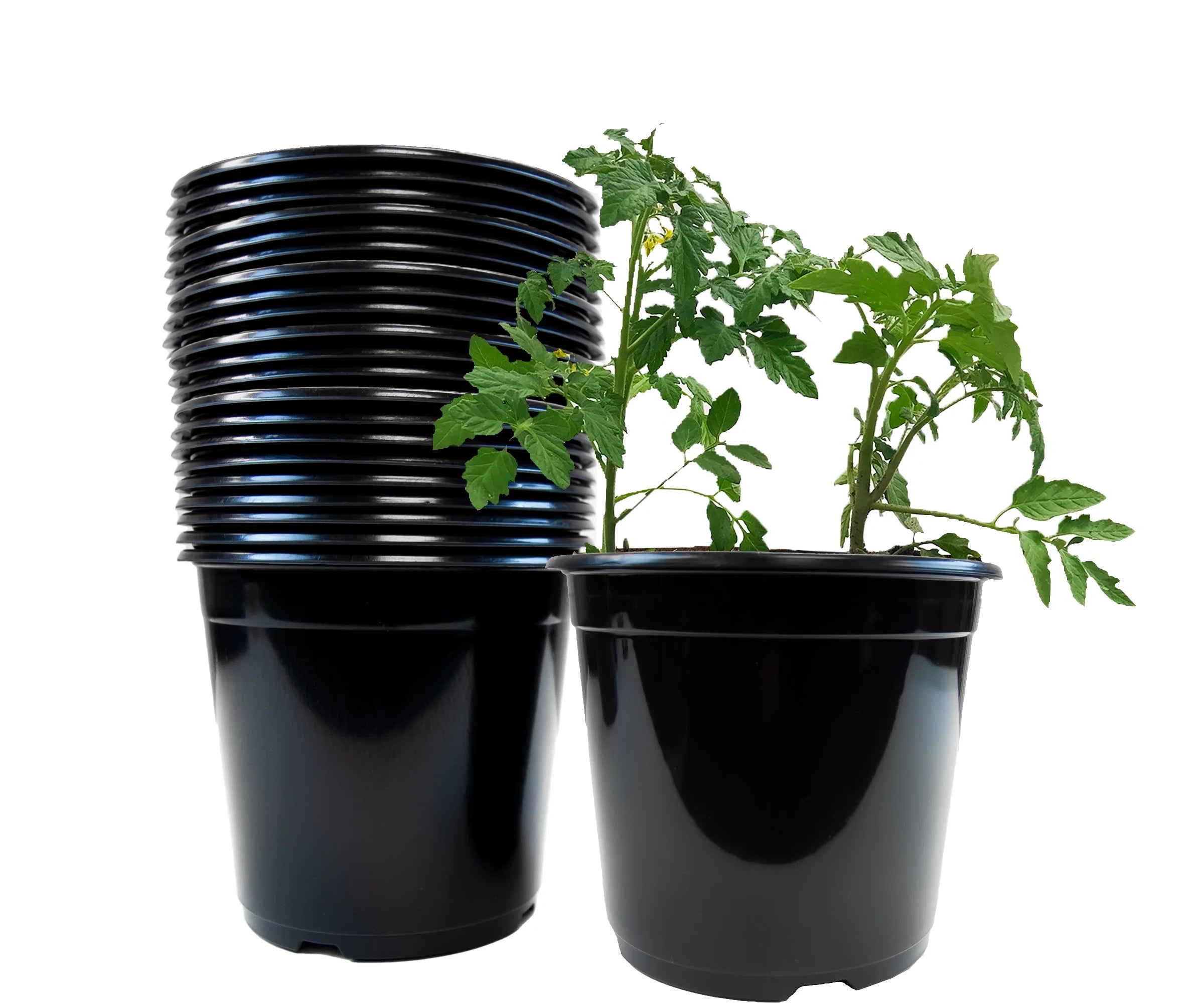 Viagrow Nursery Pots, 2 Gallon, Black, Plastic BPA Free Plant Pots, 9.5-Inch, Set of 24