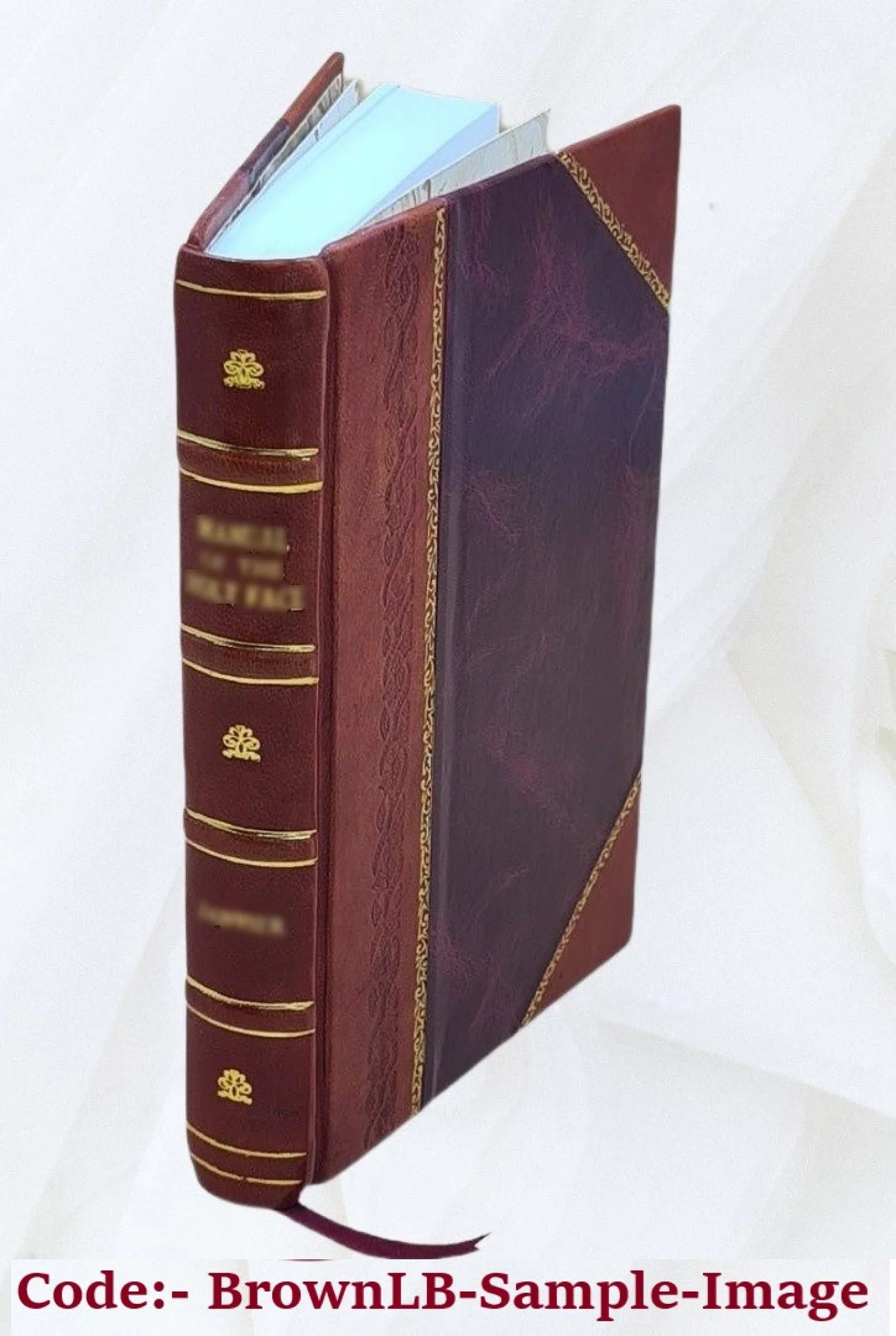 The life of mind, by E. Jordan. 1925 [Leather Bound]