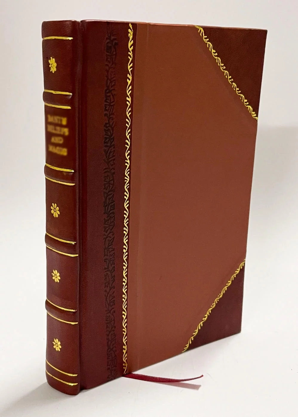 Perfection in Baking / Braun, Emil. (1893) (1893) [Leather Bound]