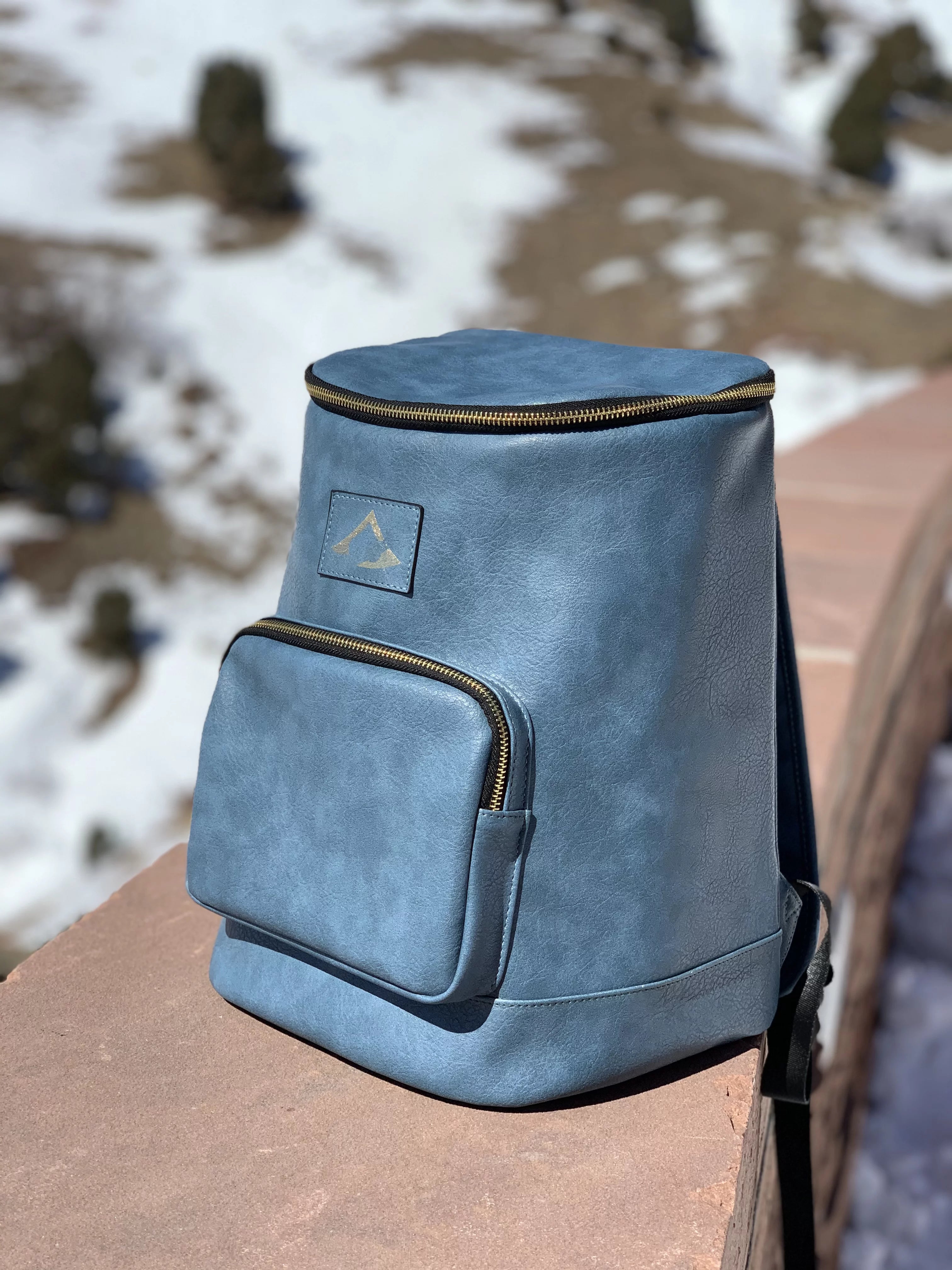 NiceAces Leakproof Vintage Style Insulated Backpack Cooler for Sports and Travels in Blue