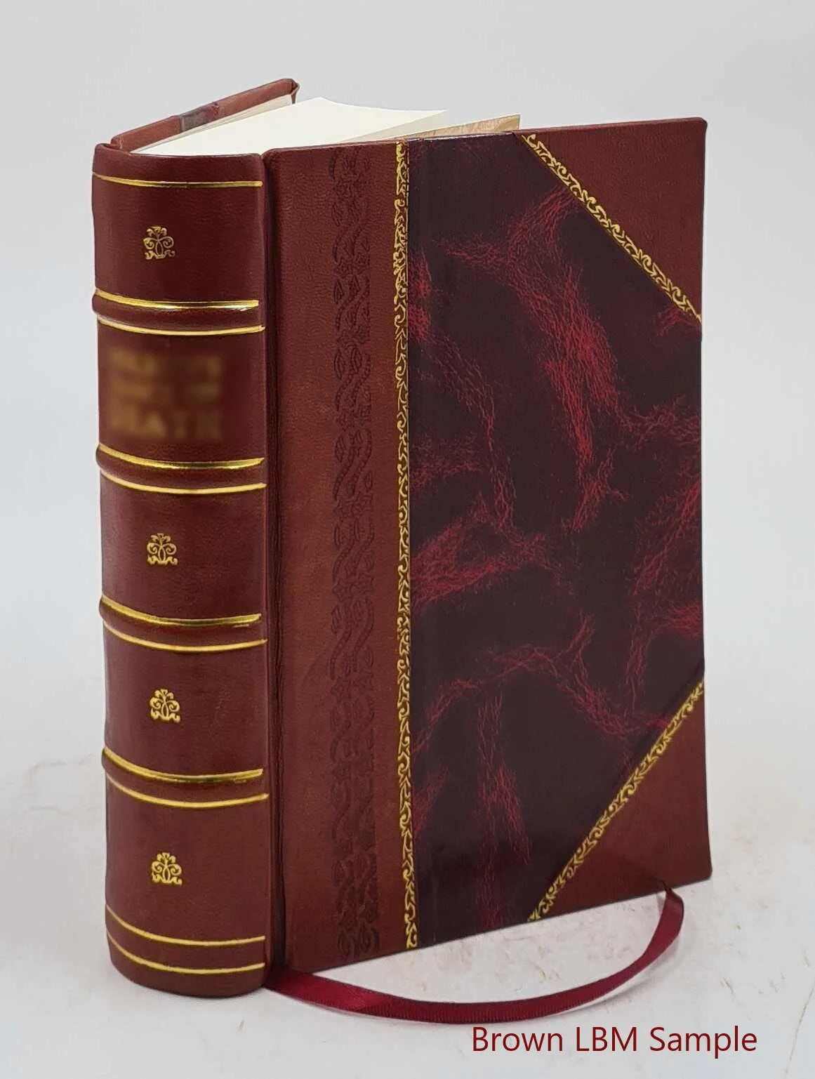 Narrative of the United States' expedition to the river Jordan and the Dead Sea 1849 [Leather Bound]